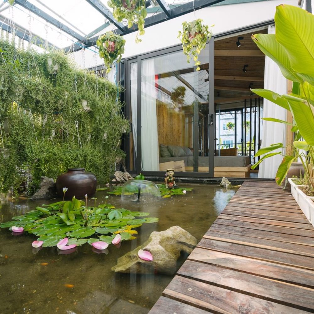 Căn Oasis Lotus Homestay